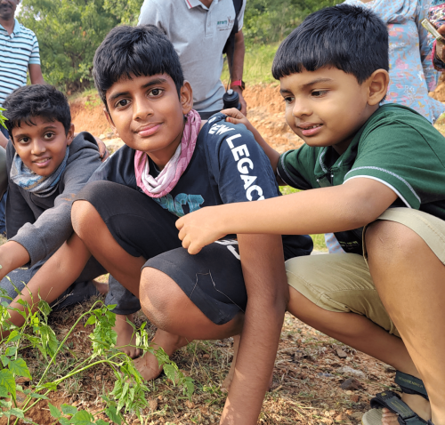 Plantation-Kumaragiri-hill